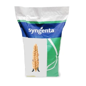 Pszenica ozima Galerist C1 50kg Seedron+DankoVigor