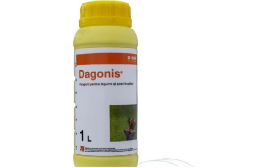 Dagonis 1L