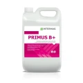 Primus B+ 5L