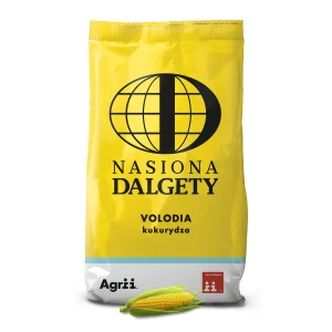 Kukurydza Volodia C1 80tys Starfos