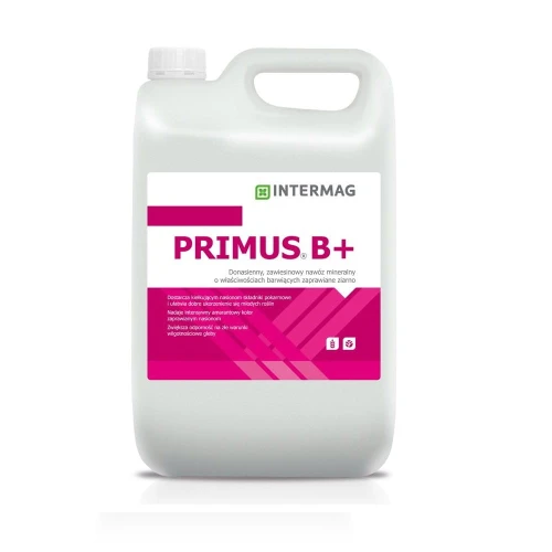 Primus B+ 20L