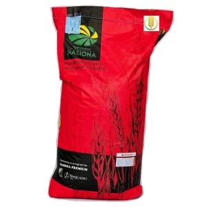 Pszenica jara Quintus C1