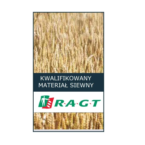 Jęczmień jary browarny RGT Planet C1