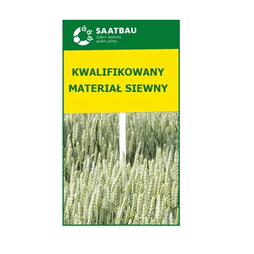 Jęczmień jary Wilma C1