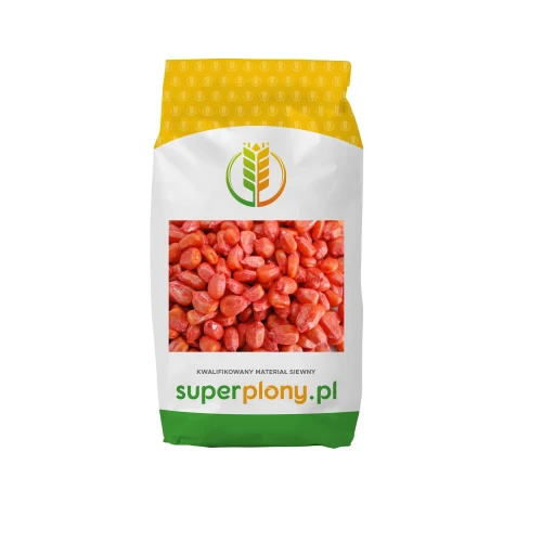 Kukurydza Malongo C1