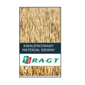 Jęczmień jary browarny Kepler C1