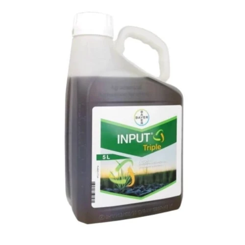 Input Triple 400 EC 5L