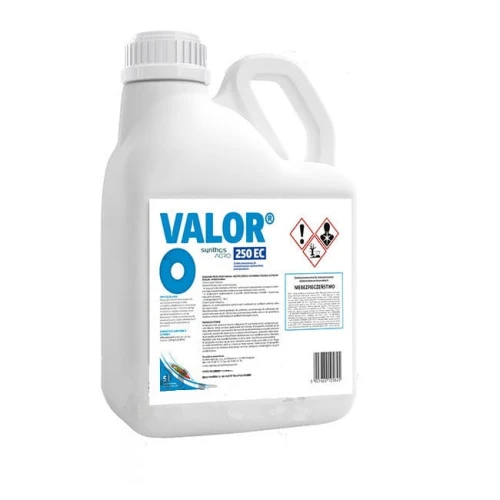 Valor 250 EC 5L