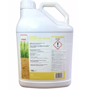 Cuadro NT 250 EC 10L