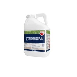 Strongsar 480 SL 5L
