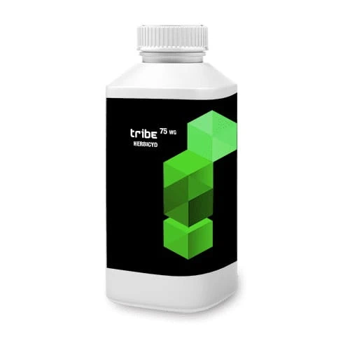 Tribe 75 WG 100G