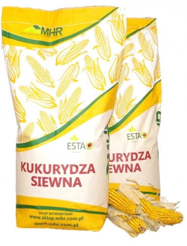 Kukurydza Lokata C1