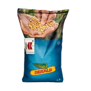 Rzepak ozimy DK Exaura F1 C1 1,5mln Scenic Gold  Buteo Start Zinc