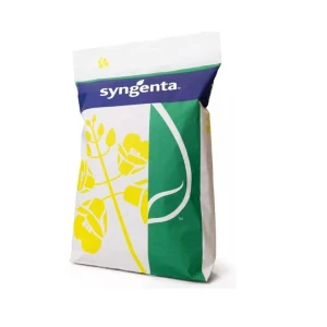 Rzepak ozimy SY Aliboom F1 C1 1,5mln Scenic Gold  Buteo Start