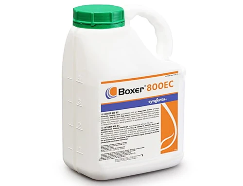 Boxer 800 EC 5L