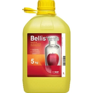 Bellis 38 WG 5KG