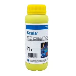 Scala 1L