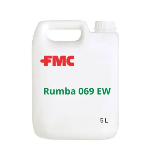 Rumba 069 EW 5L