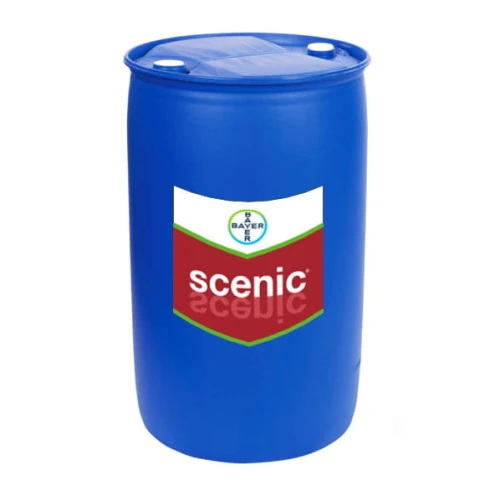 Scenic 080 FS 200L