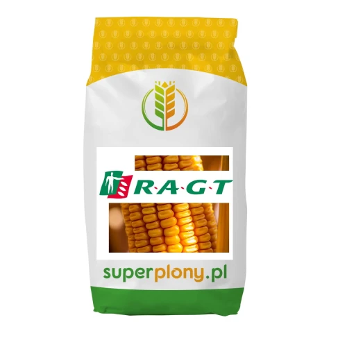 Rzepak ozimy Amazzonite F1 2mln Scenic Gold