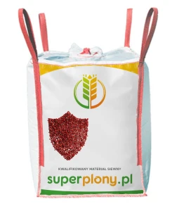 Jęczmień ozimy Sandra C1 BigBag 500 kg Vibrance Gold + Starfos + Polimer