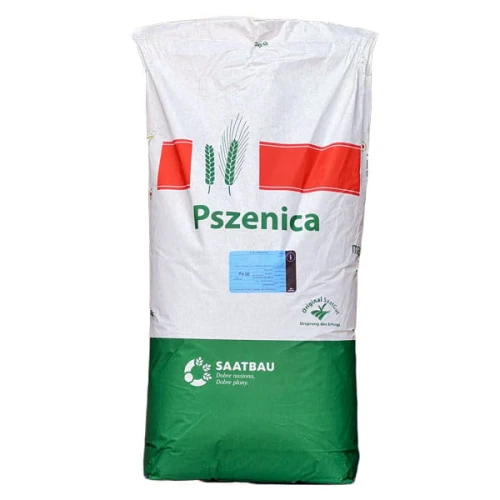 Pszenica ozima Chevignon C1