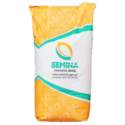 Pszenica ozima Persona C1