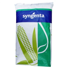 Kukurydza SY Freyja C1 50tys