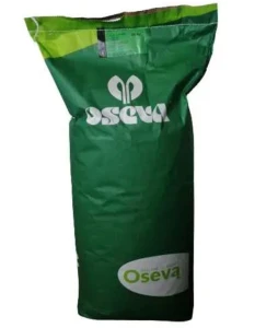 Kukurydza Jurenga C1 50tys