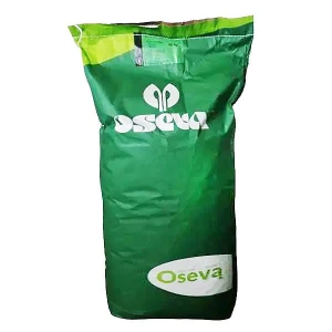 Kukurydza Cegoja C1 50tys