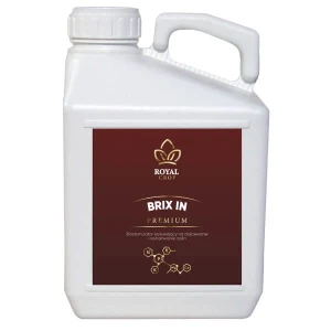 RC Brix-In 5l