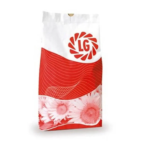 Słonecznik LG 50.455 CLP