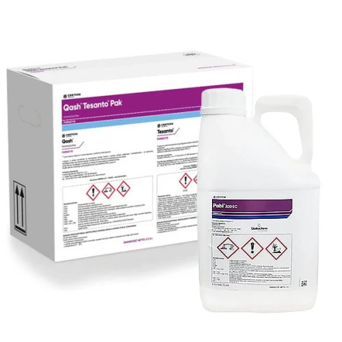 Qash Tesanto Pak + Pabi