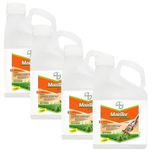 Maister Power 42,5 OD 20L (4 x 5L)