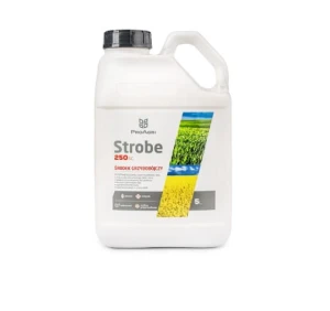 Strobe 250 SC 5L azoksystrobina