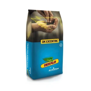 Rzepak ozimy DK Excentric F1 C1 1,5mln Integral Pro Buteo Start