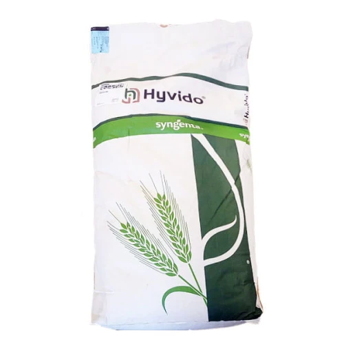 Jęczmień ozimy F1 SY Dakota (Dakoota) C1