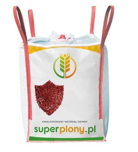 Pszenica ozima Pallas C1 BigBag 500kg