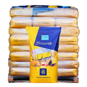 Pszenica ozima Euforia C1 25kg Dynamic Strzelce 1 tona