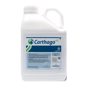 Carthago SC 5L