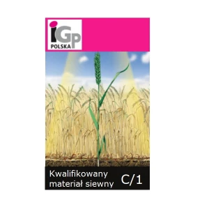 Pszenica ozima IGP Adrenalin C1 Big Bag 500kg 