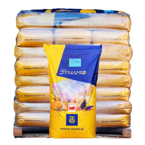 strzelce dynamic 1t.jpg