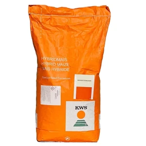 Kukurydza KWS Exceptio C1 50tys