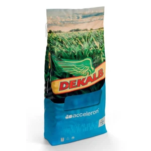 Kukurydza DKC 3609 C1 50tys Korit