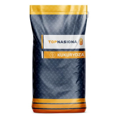 Kukurydza Obscuro C1 50tys