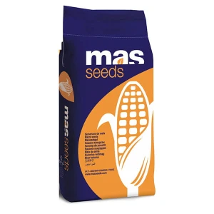 Kukurydza MAS 23.M C1 50tys Force 20SC