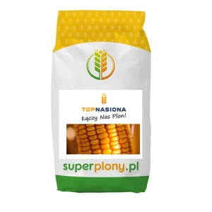 Kukurydza SY Preferense C1 50tys + Korit