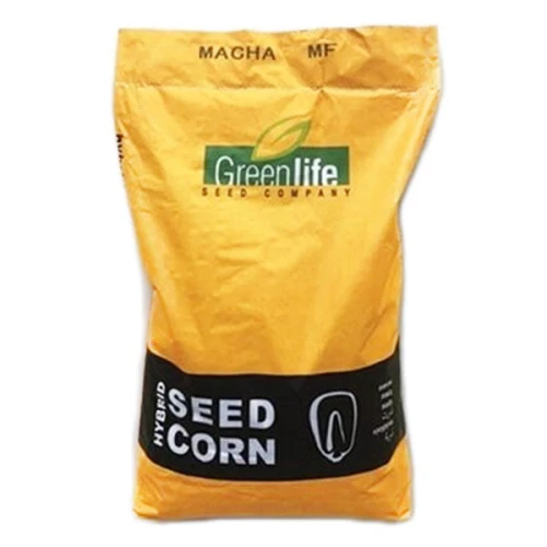 Kukurydza Goliath C1 80tys + Korit.jpg