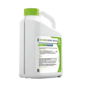 Belvedere Extra 400 SC 5L