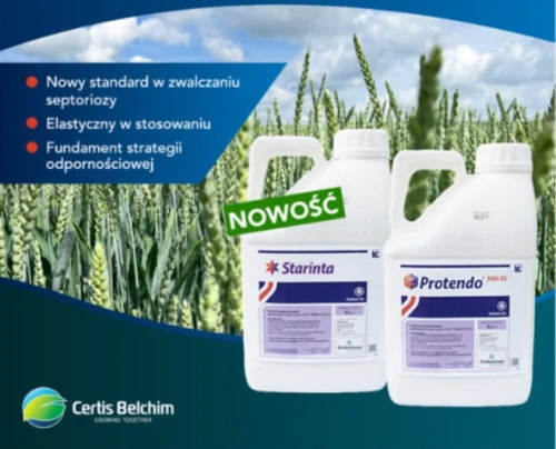 Starinta Pak 12ha Starinta 6x1L + Protendo 6x1L